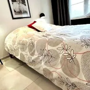 Appartement Le Campagnard & Le Maryline # Wifi # Clim # Parking Gratuit # Calme & Nature, Marboz